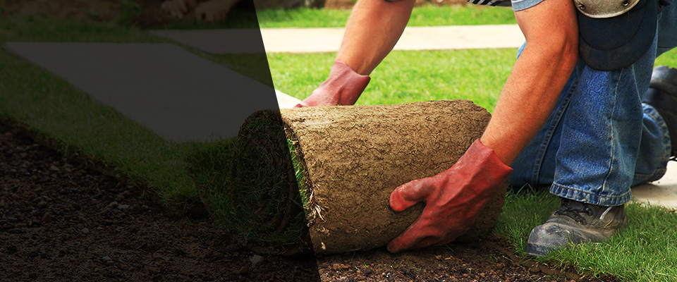 Rindge Landscapers